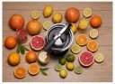 Соковыжималка для цитрусовых Gorenje Citruseta CJ100HE, Нержавеющая сталь
