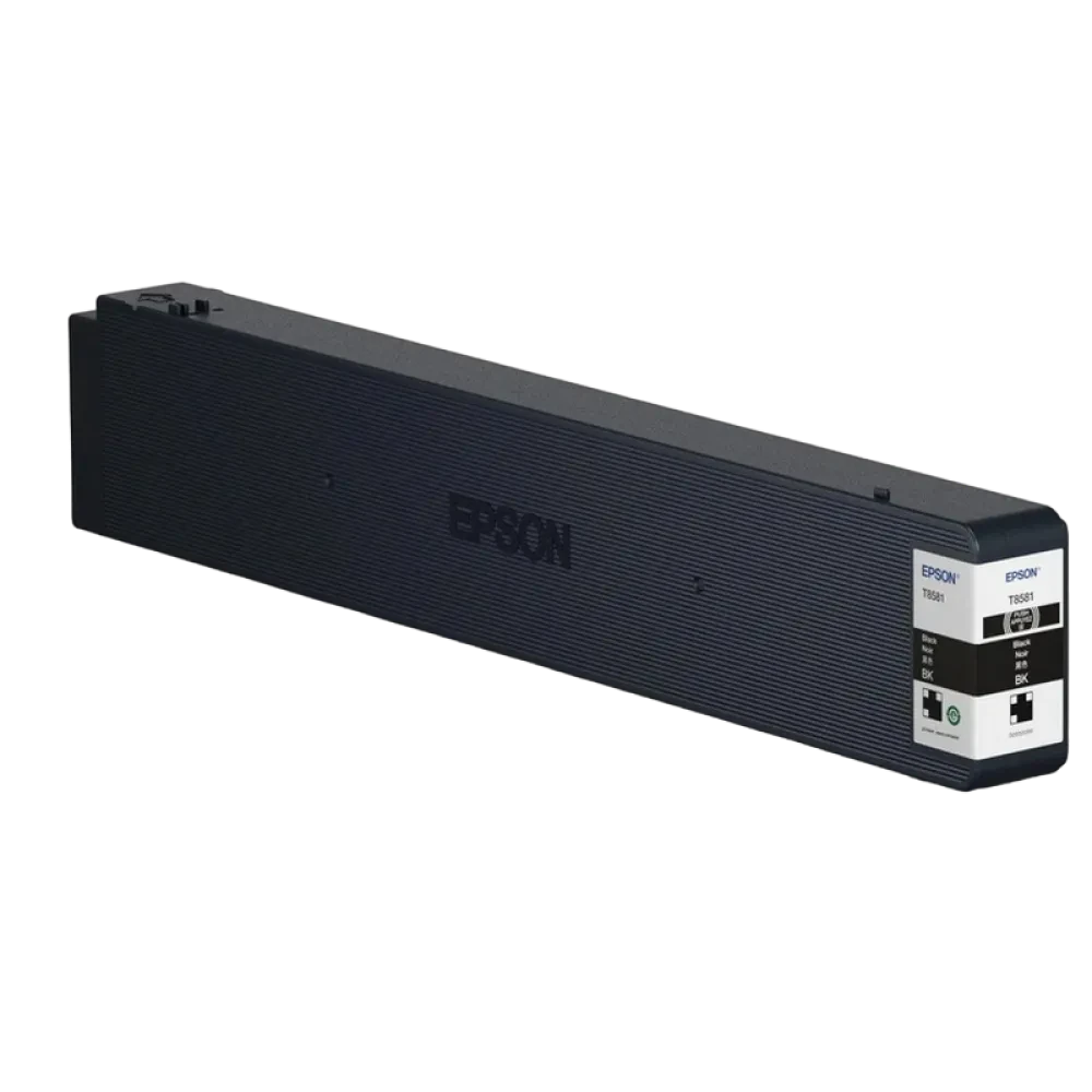 Cartuș de cerneală Epson C13T858100, Negru