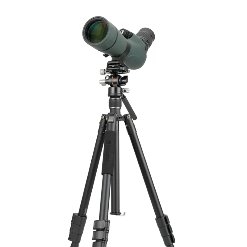 Штатив для видеокамер Vanguard VESTA GO 264AV12, Видеоголовка, Чёрный