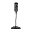 Cameră Web A4Tech PK-810G, 640 x 480, Negru
