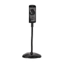 Cameră Web A4Tech PK-810G, 640 x 480, Negru