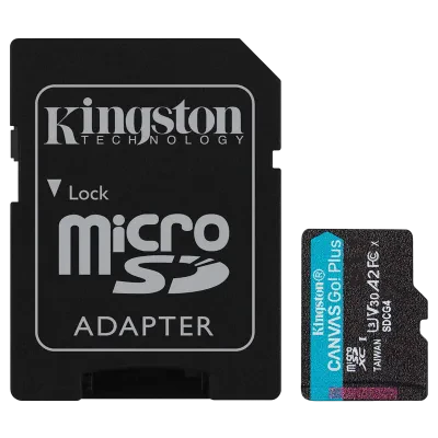 Карта памяти Kingston Canvas Go! Plus, 256Гб (SDCG4/256GB)