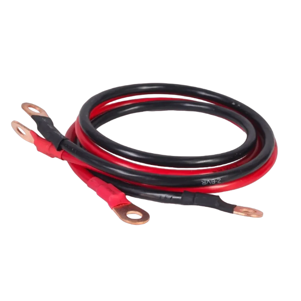 Invertor Auto Energenie EG-PWC-PS1000-01, 1000W, Multicolor