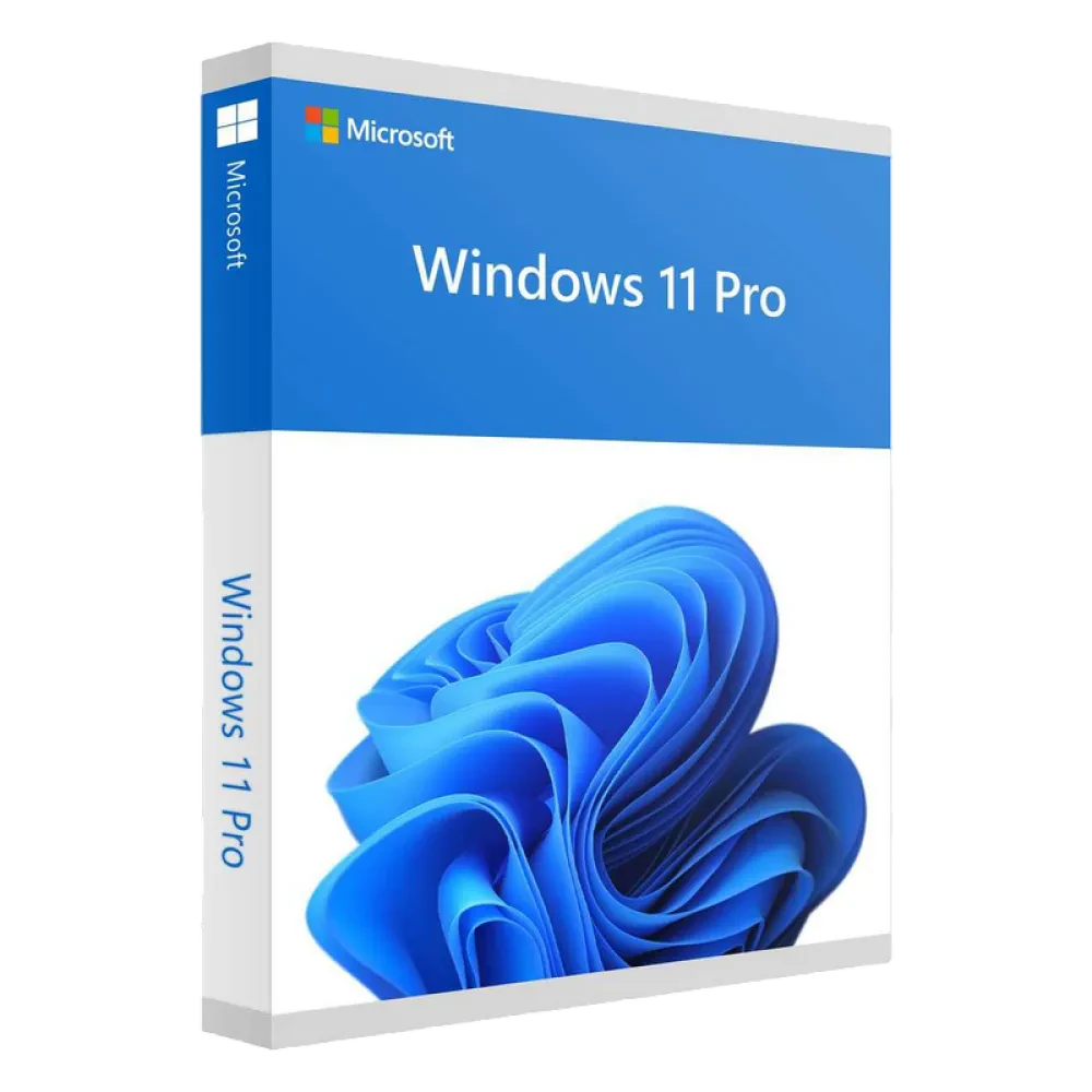 Sistem de operare Windows HOME FPP 11 64BIT ENG INTL
