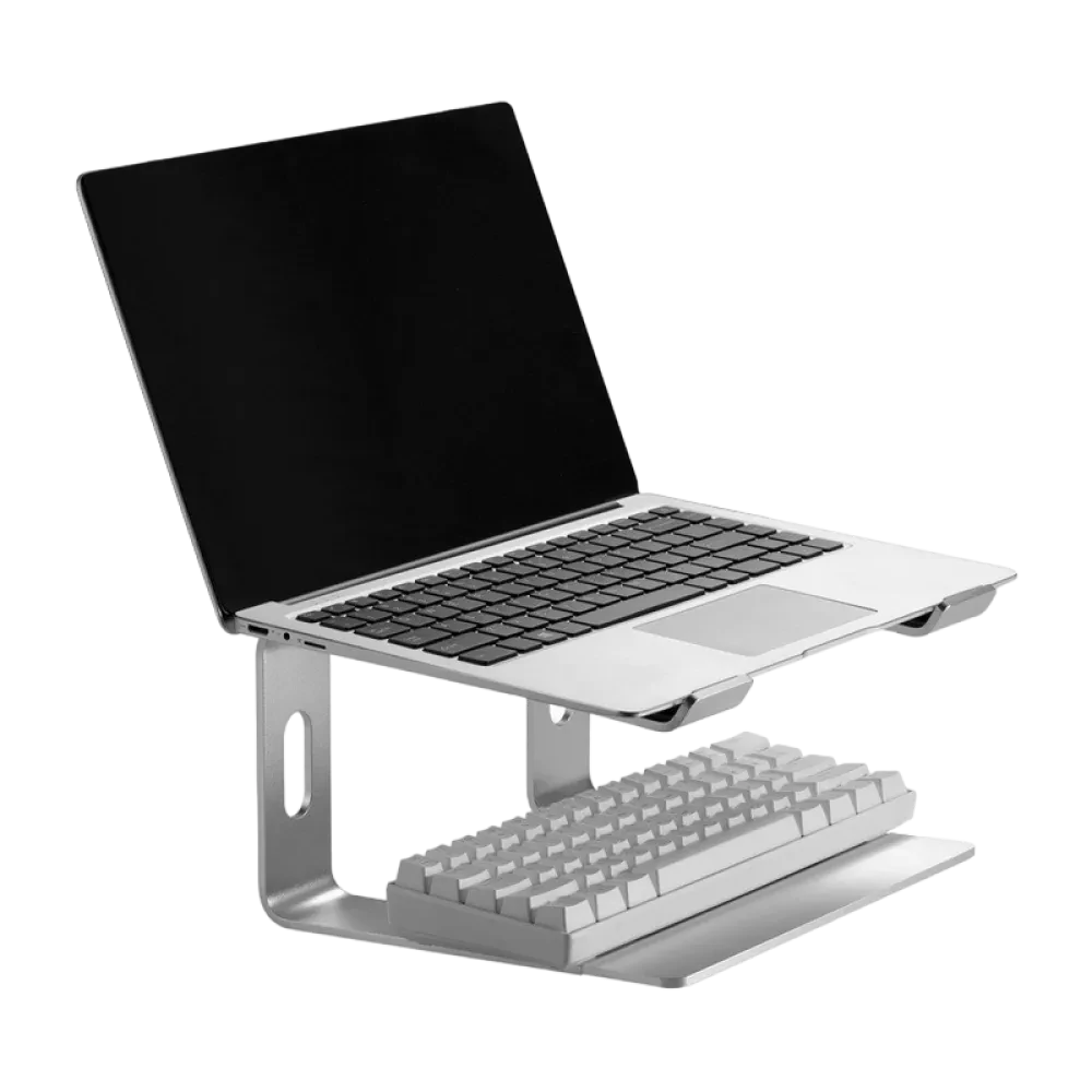 Stand pentru laptop Gembird NBS-D1-01, 15,6", Argintiu
