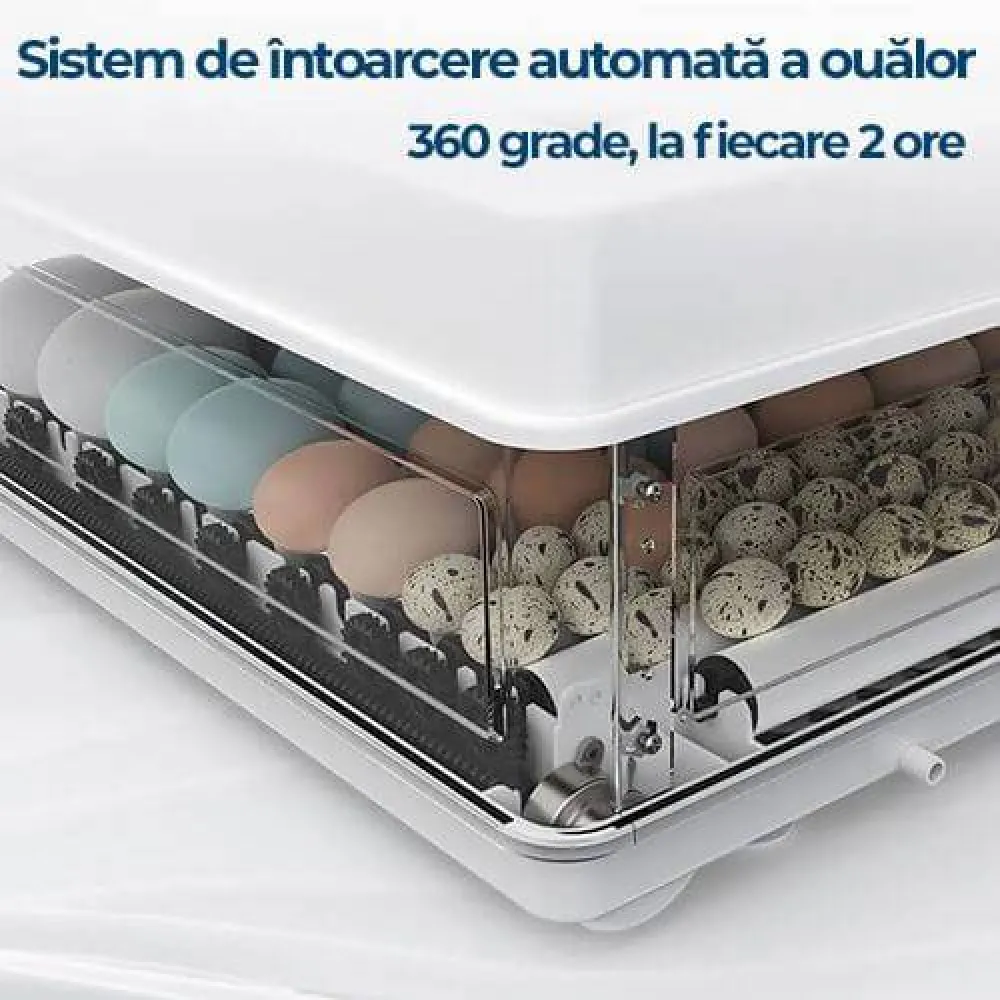 SET: Moara Holz Mill 25L + Incubator automat MS 70