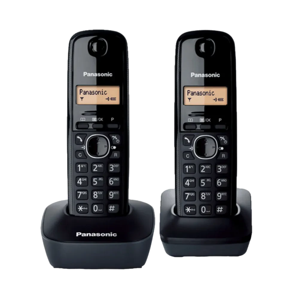 Радиотелефон Panasonic KX-TG1612, Серый