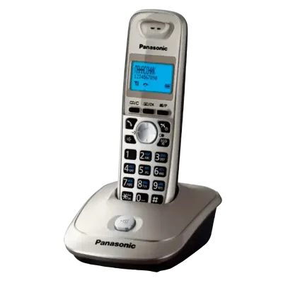 Telefon DECT Panasonic KX-TG2511, Platină